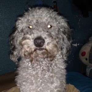 Meet your Posher, Jill